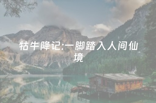 一分钟揭秘“麻将助赢神器”（辅助挂发牌规律)
