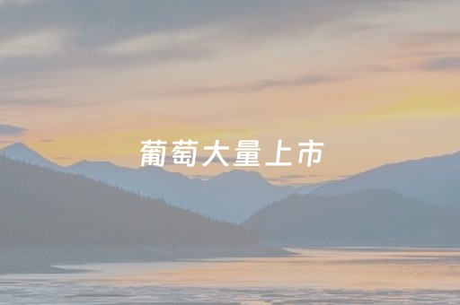 打造世界级科普旅游目的地 合肥未来大科学城科普研学游发展大会举行