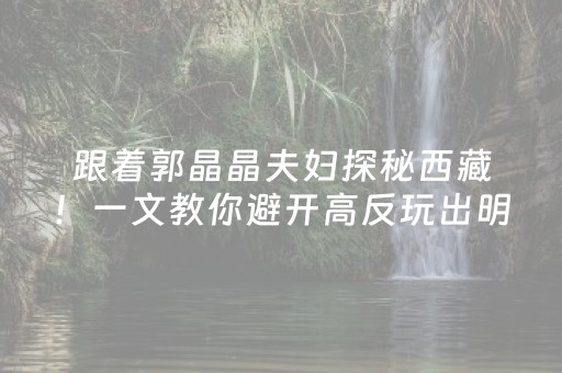 玩家必备十款“微信玩麻将开挂辅助器插件”（挂件神器)