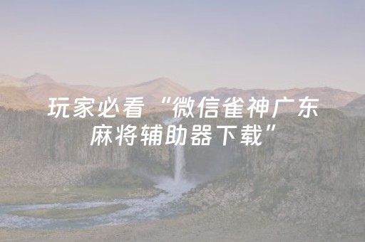 玩家必看“微信雀神广东麻将辅助器下载”（辅助器通用版)