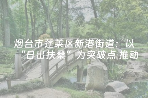 烟台市蓬莱区新港街道：以“日出扶桑”为突破点 推动滨海一带破点成面