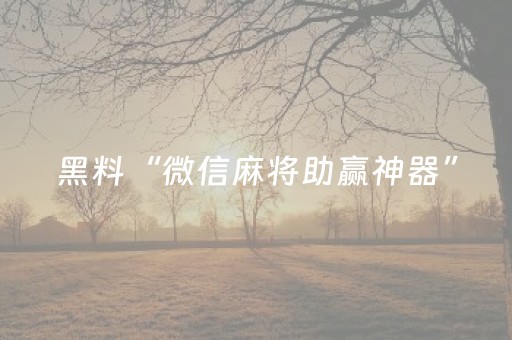 黑料“微信麻将助赢神器”（自建房怎么拿好牌)