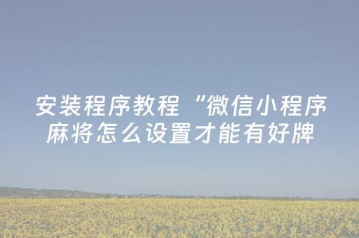 安装程序教程“微信小程序麻将怎么设置才能有好牌”（怎么让系统给自己好牌)