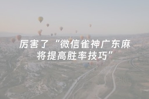 厉害了“微信雀神广东麻将提高胜率技巧”（提高胜率技巧)
