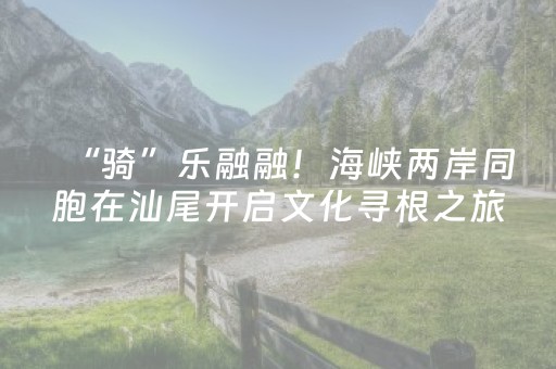 介绍十款“雀神广东麻将助赢神器”（挂件神器)