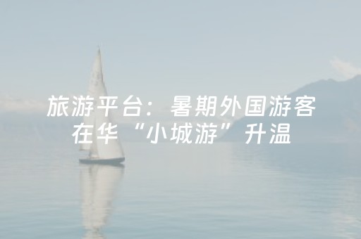 旅游平台：暑期外国游客在华“小城游”升温