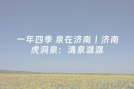 胜率设置方法“广东麻将做弊器”（开挂辅助脚本)