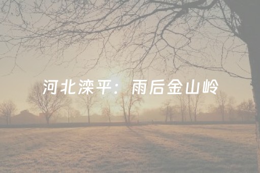 给大家科普一下“微信小程序浙江麻将攻略插件”（透明器教程)