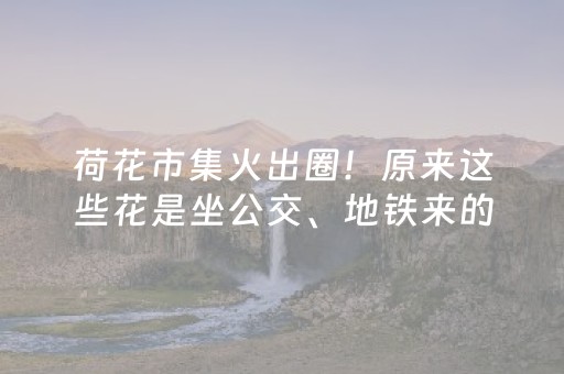 盘点十款“微信财神十三张怎样拿好牌”（免费专用神器)