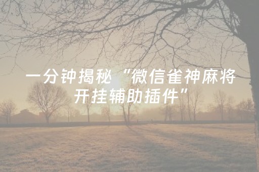 一分钟揭秘“微信雀神麻将开挂辅助插件”（软件出售)