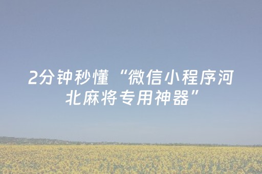 2分钟秒懂“微信小程序河北麻将专用神器”（怎么让系统给你发好牌)