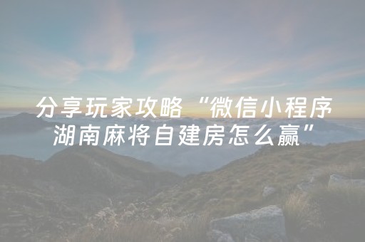 分享玩家攻略“微信小程序湖南麻将自建房怎么赢”（插件可信吗)