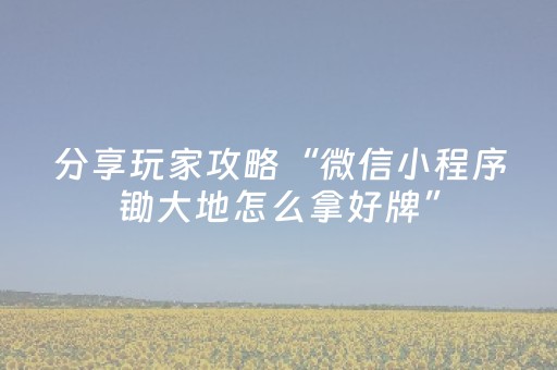 分享玩家攻略“微信小程序锄大地怎么拿好牌”（有什么诀窍)