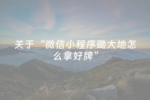 关于“微信小程序锄大地怎么拿好牌”（提高胜率技巧)