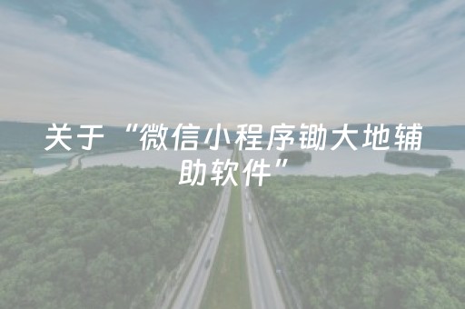 关于“微信小程序锄大地辅助软件”（怎么调胜率)