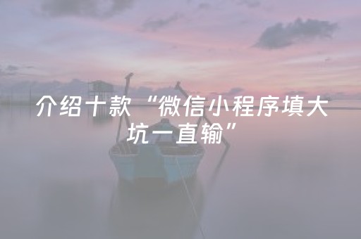 介绍十款“微信小程序填大坑一直输”（可以设置输赢吗)