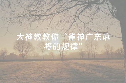 大神教教你“雀神广东麻将的规律”（免费专用神器)
