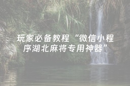 玩家必备教程“微信小程序湖北麻将专用神器”（必赢神器辅助器)