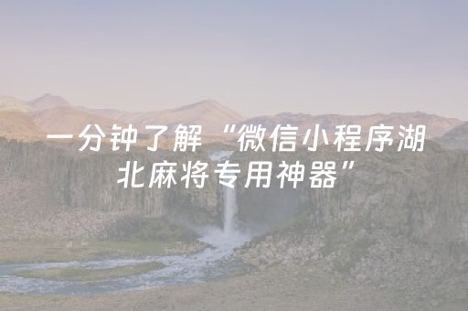 一分钟了解“微信小程序湖北麻将专用神器”（充值会提高胜率么)