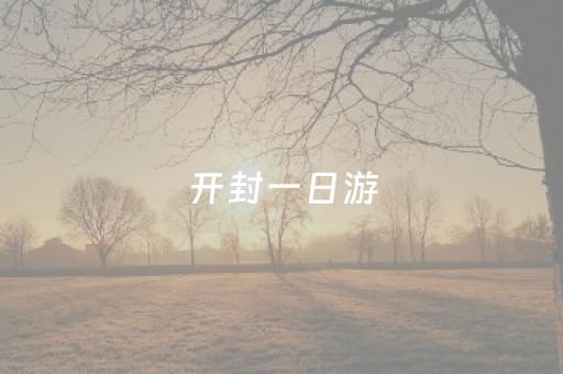 开封一日游（开封一日游攻略及费用）