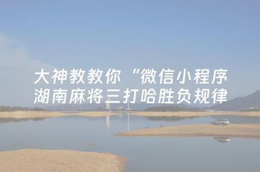 大神教教你“微信小程序湖南麻将三打哈胜负规律”（装挂怎么安装)