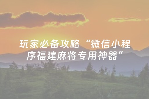 玩家必备攻略“微信小程序福建麻将专用神器”（插件可信吗)