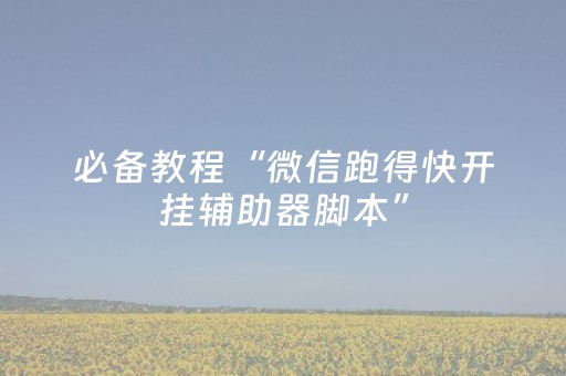 必备教程“微信跑得快开挂辅助器脚本”（辅助软件)