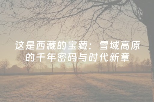 给大家科普一下“微信小程序陕西麻将技巧和打好牌方法”（胜率到哪调)