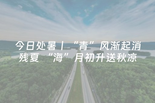 安装教程“开心麻将麻将怎么设置才能赢”（发牌有什么规律吗)
