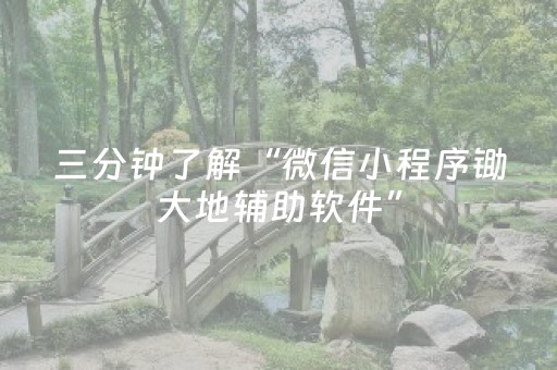 三分钟了解“微信小程序锄大地辅助软件”（助赢神器)