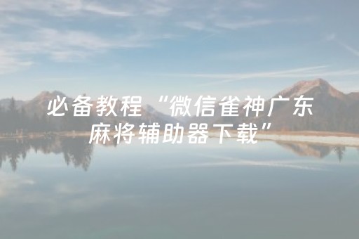 必备教程“微信雀神广东麻将辅助器下载”（技巧和打好牌方法)