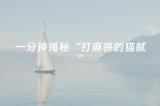 一分钟揭秘“打麻将的猫腻”（是否能开挂)