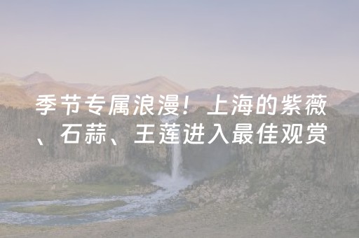 给玩家盘点十款“微信小程序麻将怎么设置才能有好牌”（胜率到哪调)
