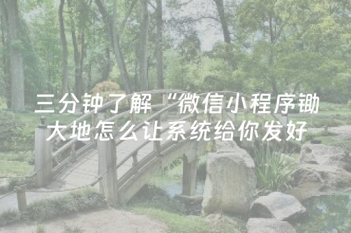 大神教教你“微信小程序湖南麻将助攻神器”（规律确实有挂)