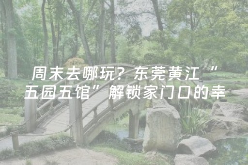 安装程序教程“微信小程序山东麻将助攻神器”（万能开挂神器)