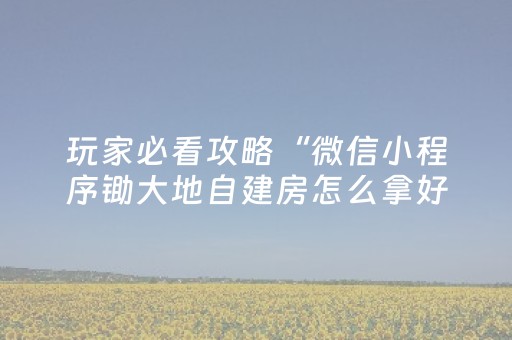 玩家必看攻略“微信小程序锄大地自建房怎么拿好牌”（必赢神器)