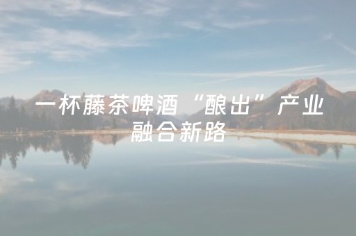 一杯藤茶啤酒“酿出”产业融合新路