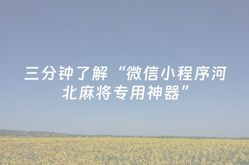 三分钟了解“微信小程序河北麻将专用神器”（怎么控制输赢)