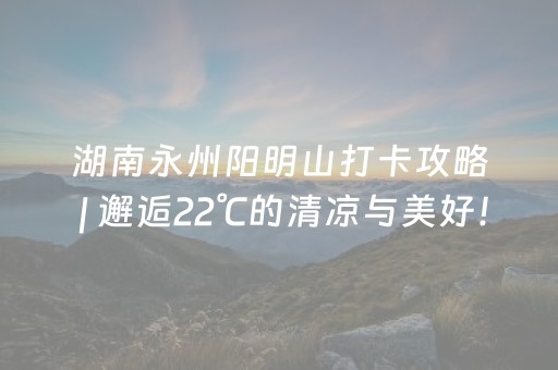 必备教程“微信雀神麻将输赢规律”（外辅工具)