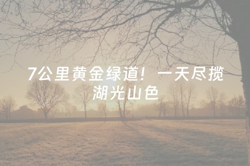 三分钟了解“微信小程序广东麻将插件下载”（自建房怎么拿好牌)