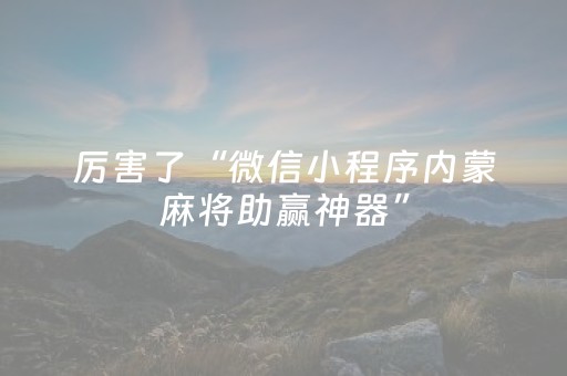 厉害了“微信小程序内蒙麻将助赢神器”（软挂神器)