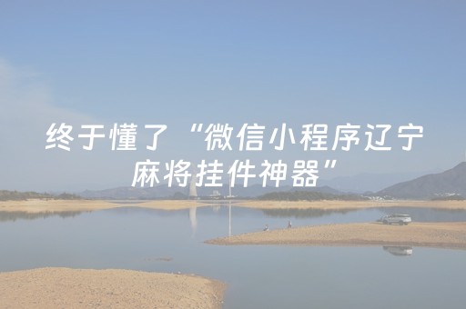 终于懂了“微信小程序辽宁麻将挂件神器”（怎么调胜率)