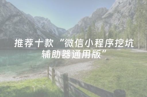推荐十款“微信小程序挖坑辅助器通用版”（装挂怎么安装)