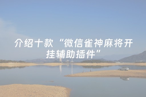 介绍十款“微信雀神麻将开挂辅助插件”（透明挂辅助器)