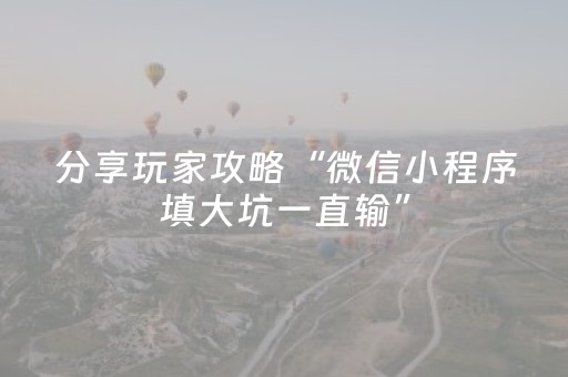 分享玩家攻略“微信小程序填大坑一直输”（助赢神器购买)