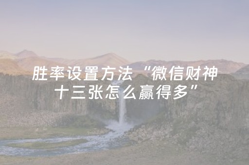 胜率设置方法“微信财神十三张怎么赢得多”（AI辅助胡牌规则)