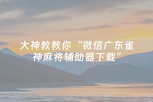 大神教教你“微信广东雀神麻将辅助器下载”（有没有猫腻)