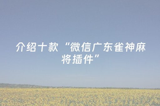 介绍十款“微信广东雀神麻将插件”（辅助器插件)