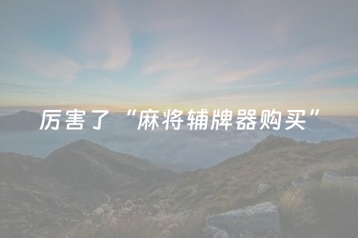 厉害了“麻将辅牌器购买”（AI辅助胡牌规则)
