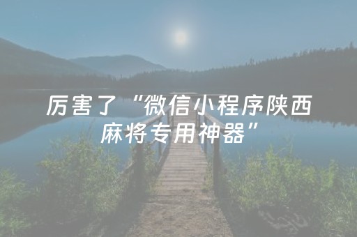 厉害了“微信小程序陕西麻将专用神器”（技巧和打好牌方法)